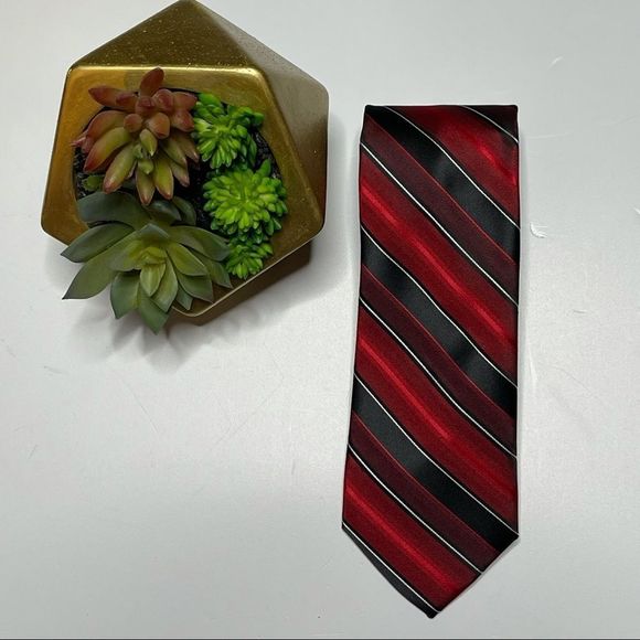 Pierre Cardin Diagonal Stripe Tie - Picture 1 of 3